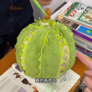 두리안인형 쿠션 장식 베개 귀여운 과일 티류으스