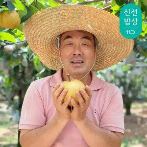 과일꾼 GAP인증 30년 경력 농부 나주배 특품 5kg 8-9과