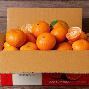 당일작업 고당도 가정용 제주 레드향 4kg(실중량) 혼합과