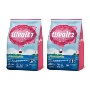 웰츠 캣 키튼, 6kg, 2개
