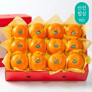 [탐라왕] 천혜향 2.5kg 선물세트 중과, 대과