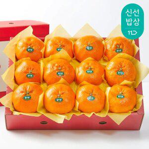 [탐라왕] 레드향 2.5kg 선물세트 중과, 대과