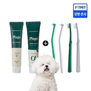 플라고 치약 80g + 칫솔 SET (기본/송곳니中 택1) 강아지 고양이 입냄새 치석 제거 치