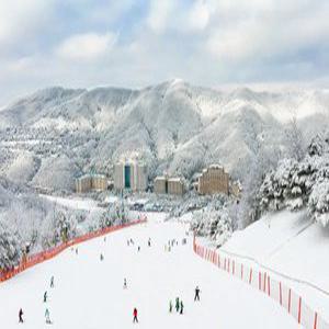 [특별패키지]비발디파크 새벽/밤샘 리프트+렌탈PKG/스키/보드/렌탈/겨울/동계/시즌