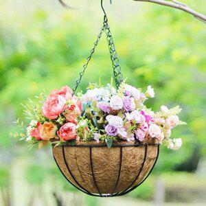 코코넛 행잉화분 커버 베란다 인테리어 화분걸이 공중식물 행잉걸이