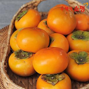 [우체국쇼핑] 아삭달콤한 진영단감 5kg (25과 외)