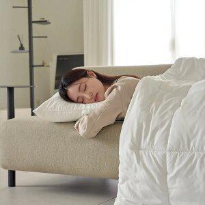 드림웰 깨끗한 알러지케어 차렵이불 SS/Q/K