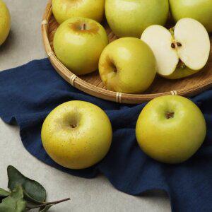 괴산 GAP 시나노골드 사과 2kg 소과(9-11과)