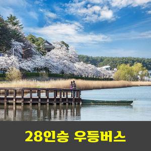 강릉경포대 벚꽃축제 해파랑길 39코스  안내산악회