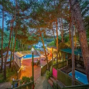 [강원] 횡성 머쉬멜로우 풀빌라(반려견 동반가능)(강원, 횡성)