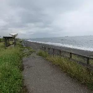 대만/가오슝/타이난 4일 #타이난 #쓰차오녹색터널 #치진섬 #보얼예술특구