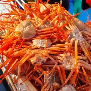 [일품대게]실속형 구룡포 연지 홍게 3kg (9-12마리)