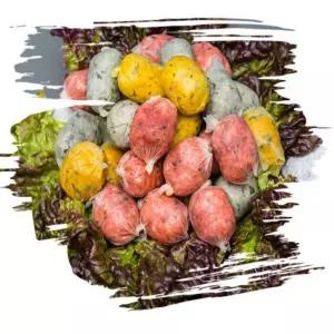 비제이마켓 강원도 속초 삼색순대 진공 1KG 칼라순대