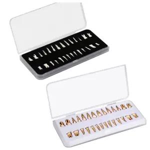 28개 치아 모형 전체 치아 11 영구 모형 뿌리 포함 상하 학교 교육 장비