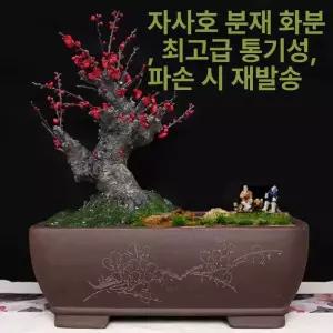 분재용화분 발코니 세라믹 화분 도자기 직사각형 원예