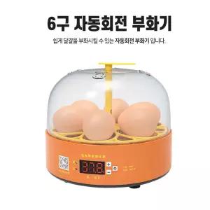 자동 회전 미니 6구 계란 부화기 KC 검란 전란 포함