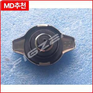 Chery Tiggo QQ6 A1 Cowin Riich 용 1pc 정품 물 탱크 커버 라디에이터