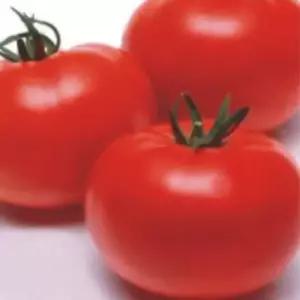 열매 완숙 광복토마토 과일 토마토 씨앗 종자 100립 WA3FB83