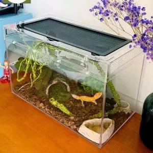 달팽이키우기 귀뚜라미 장수풍뎅이 사육 패키지 다슬기 돌키우기 사슴벌레키우기 키우기 관찰경