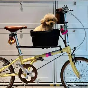 자전거 강아지 안장 보조 소형견 바구니 시트
