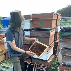 얼굴 모기장 벌레 망 방충 야외 용품 여행 장비 캠핑 방어 구 보호 막 에어 낚시 도구