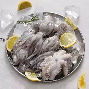 [자연맛남]26년 제철 활 쭈꾸미 1kg 10-16미