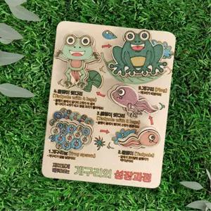 올챙이와 개구리 성장과정 관찰학습 놀이키트 학습완구 과학놀이 홈스쿨링 초등학교