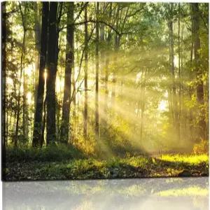 네이처 캔버스 월 아트 그린 포레스트 마운틴 일출 프린트 트리 그림 햇빛 풍경 사진 거실 침실 다이닝 룸