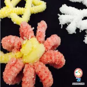 크리스탈만들기 5인용 초등과학실험키트결정 세트 실습 교구 만들기 용해와용액 화학반응