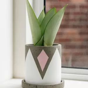 모던레시피 아트 패턴 시멘트 원형 화분 받침 세트인테리어 정원 원예 베란다 꽃화분 식물 플라워 꽃집 분