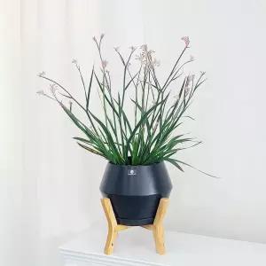 모던 도기 화분 UFO 우드스텐 셋트 D17x17cm실내 식물 인테리어 소품 정원 꾸미기 스텐 장식 디자인