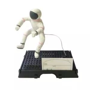 척추 동물 모형 만들기 1인 세트 학습 과학교구 관찰