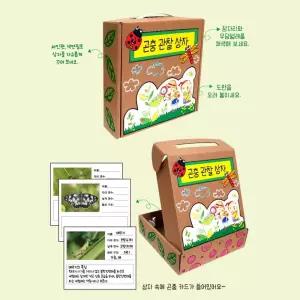 유아 어린이 곤충학습 곤충관찰 기록 상자만들기 집콕놀이 공공기관