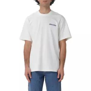 DICKIES [디키즈] 반팔 티셔츠 DK0A87QP C481 6715533 188436