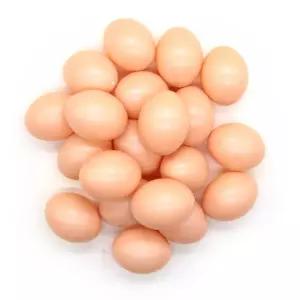 PVC 계란 원색 계란인형 계란모형 부활절계란 달걀