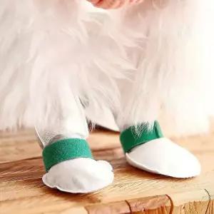 강아지 일회용 부직포 신발 산책 애견 붕대 슈즈 8P 토시 양말 대형견 부츠 댕댕 반려견 소형견 운동화 1회