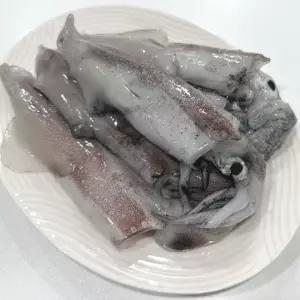 제철 활 한치 횟감 한치회 1kg