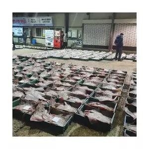 HB 국산 홍어 1kg (중간맛)+홍어애(증정) (선물포장)