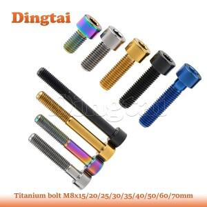 Dingtai 티타늄 볼트 M8x15/ 20/ 25/ 30 /35/ 40 /50/60 /70mm 자전거 오토바이 자동차 용 소켓 헤드 나사