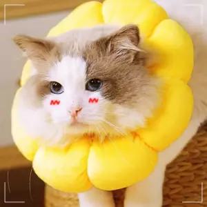 강아지 노랑 고양이 넥카라 S 목보호대 학교 사무실 I16WF3E578