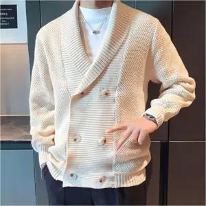 댄디룩 더블카라 남자 간절기 가을 니트 2컬러 훈남 봄 가디건