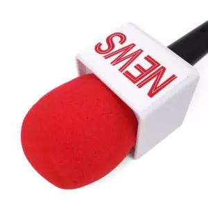 438512 가짜 NEWS 마이크