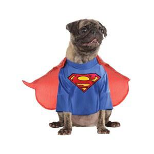 DC 코믹스 슈퍼히어로: 강아지나 고양이를 위한 슈퍼맨 펫 코스튬 by 루비, XXXL