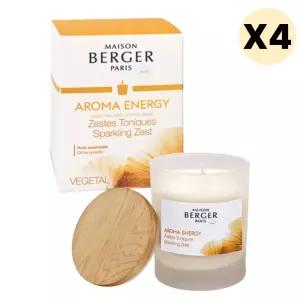 메종베르제 에너지 소이캔들 향초 홈데코 선물 X4