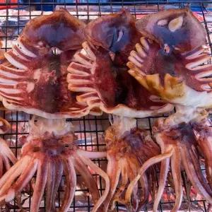 촉촉한 피데기 반건조 오징어 5마리 특대 850g)