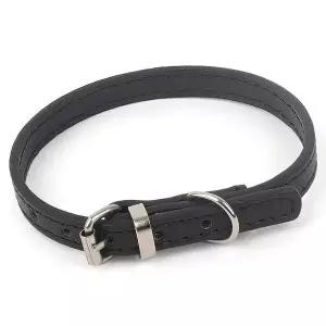 [콩심팥심]강아지목줄 강아지 목줄 애견 애묘 벨트 버클 줄 반려동물 고양이