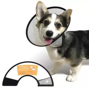 [콩심팥심]애견목카라 강아지 목보호대 넥카라 깔대기 핥기방지 고양이 애견