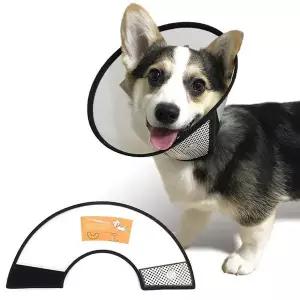 [콩심팥심]애견목카라 강아지 목보호대 6호 넥카라 깔대기 핥기방지 애견