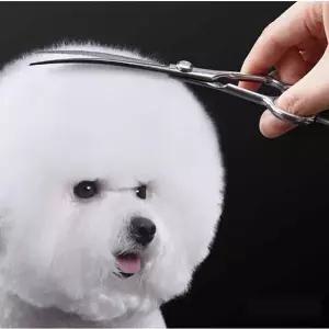 강아지 미용 가위 20도 곰돌이 얼굴 컷팅 도구 기능