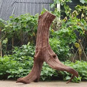 자연 수족관 관상어 꾸미기 성형유목 해수어 장식품 어항